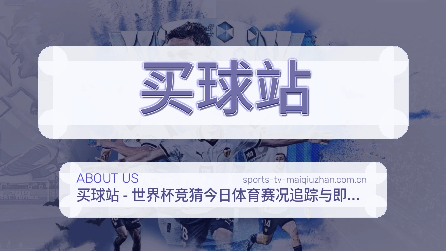 买球站 关于我们团队